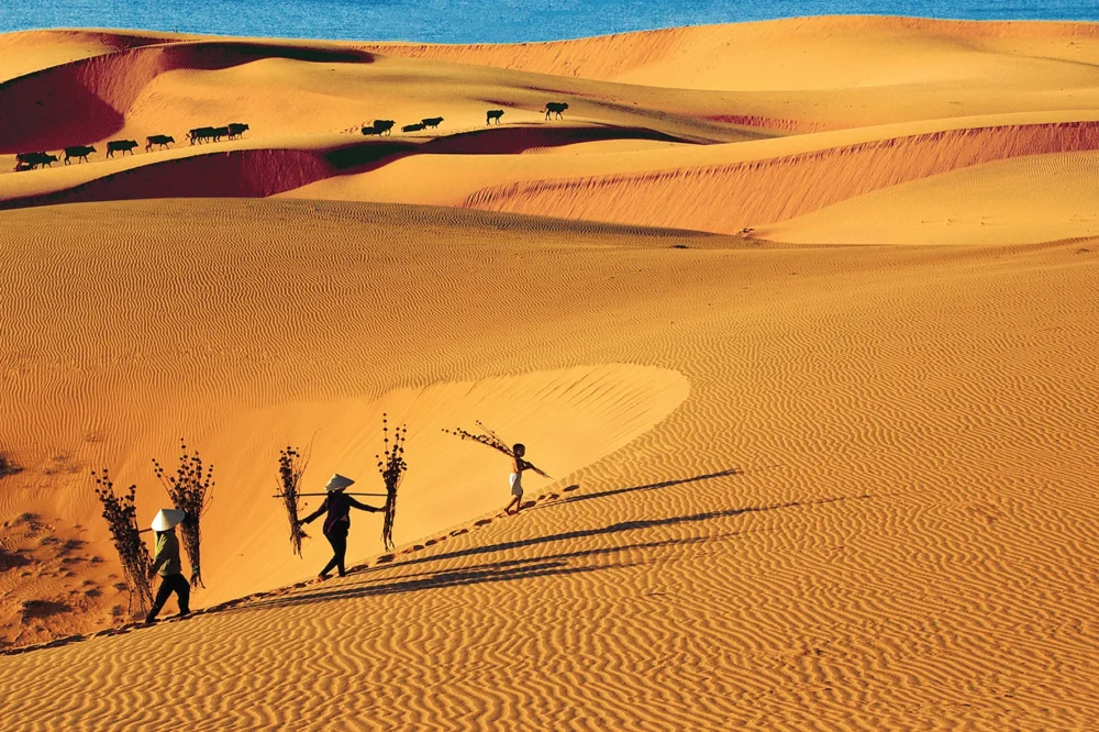 Mui Ne 17 doi cat mui ne phan thiet check in e1763634272927