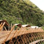 auko leu thuc vat