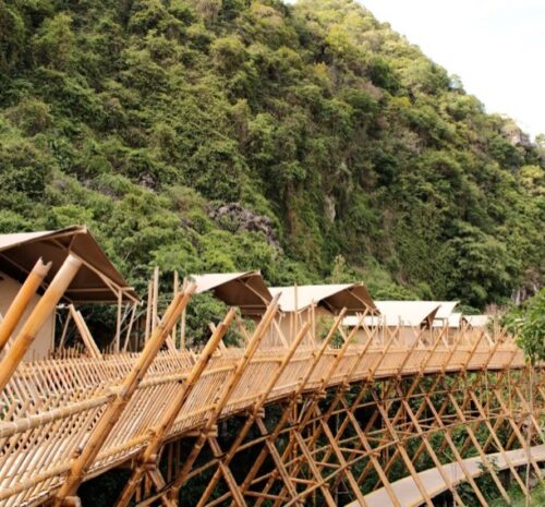 auko leu thuc vat