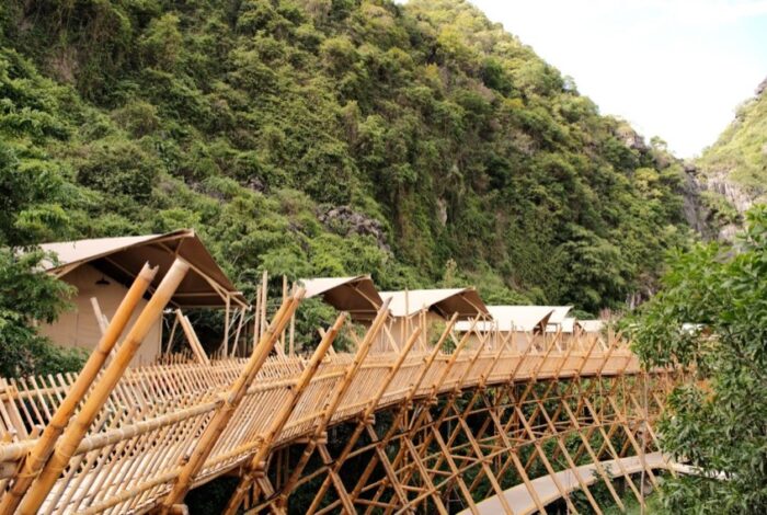 auko leu thuc vat