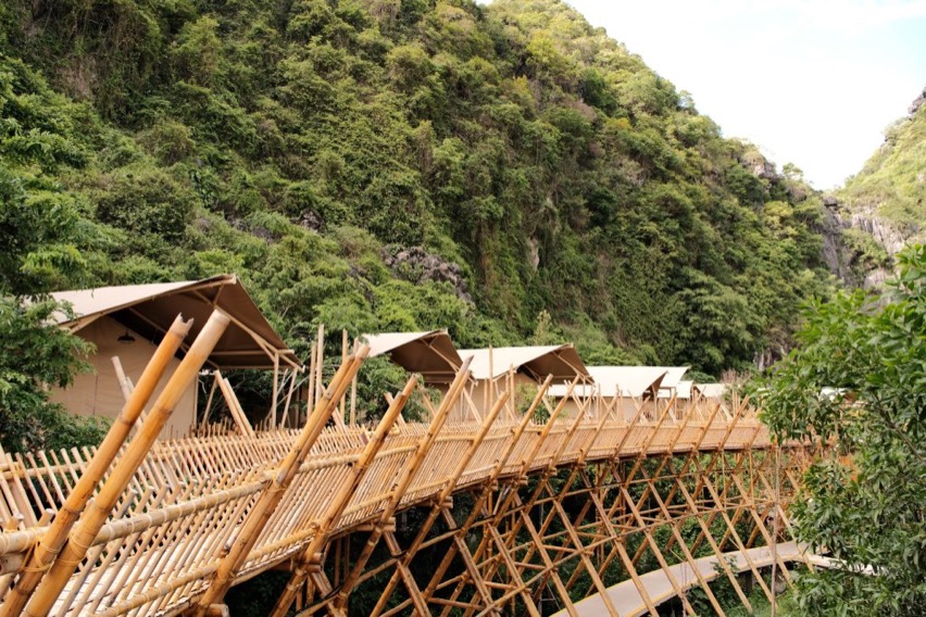 auko leu thuc vat